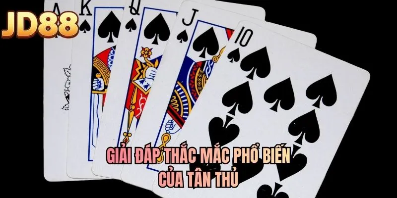 Giải đáp thắc mắc phổ biến của tân thủ