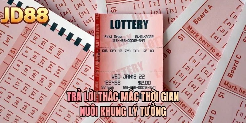 Trả lời thắc mắc thời gian nuôi khung lý tưởng